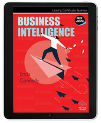 Business Intelligence eBook (2 year subscription)